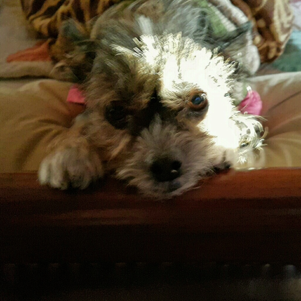 Meet your Posher, Marissa